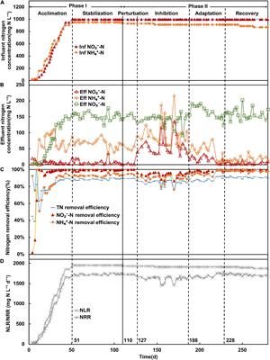 Specific Denitrifying and Dissimilatory Nitrate Reduction to Ammonium Bacteria Assisted the Recovery of Anammox Community From Nitrite Inhibition